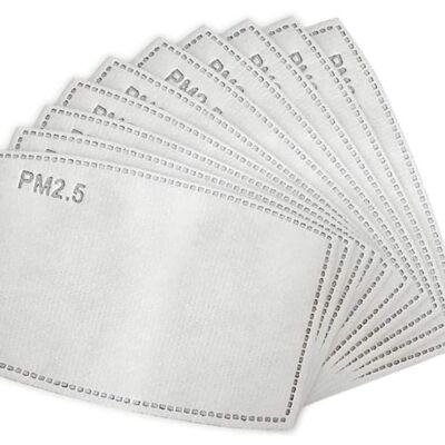 PM 2.5 Filter - WHILE SUPPLIES LAST  Thumbnail