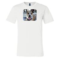 3001 - Bella Canvas Premium Ring Spun Cotton T-shirts Thumbnail